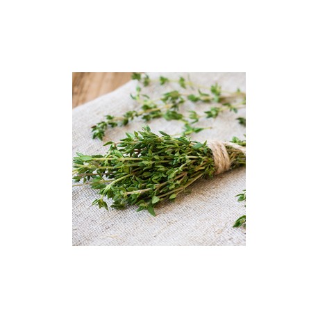 Thym frais de Provence