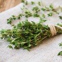 Thym frais de Provence